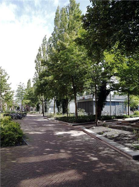 Ecofriendly Room Close To Center Amsterdam Exteriör bild